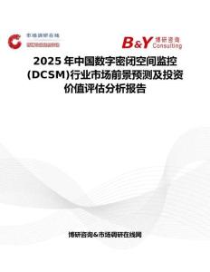 2025年中国数字密闭空间监控 (DCSM)行业市场前景预测及投资价值评估分析报告