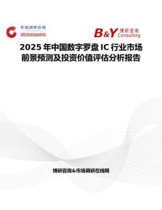 2025年中国数字罗盘IC行业市场前景预测及投资价值评估分析报告