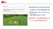 “十五五”时期我国生物制造产业发展思路-