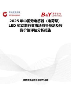 2025年中國無電感器（電荷泵） LED 驅(qū)動器行業(yè)市場前景預(yù)測及投資價值評估分析報告