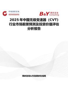 2025年中國無級變速器（CVT)行業市場前景預測及投資價值評估分析報告
