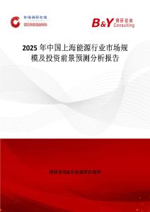 2025年中国上海能源行业市场规模及投资前景预测分析报告