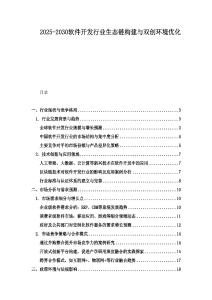 2025-2030软件开发行业生态链构建与双创环境优化