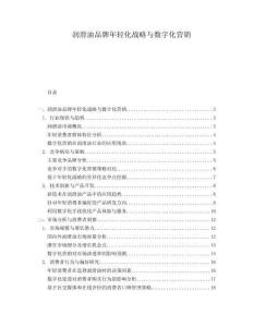 潤滑油品牌年輕化戰(zhàn)略與數(shù)字化營銷