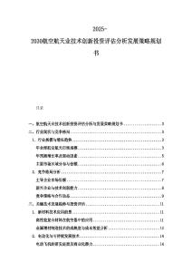 2025-2030航空航天业技术创新投资评估分析发展策略规划书