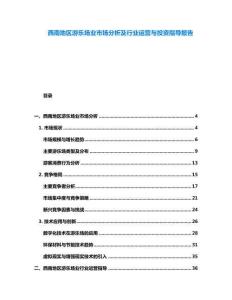 西南地区游乐场业市场分析及行业运营与投资指导报告