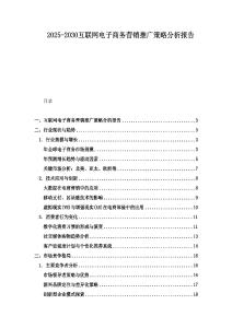 2025-2030互联网电子商务营销推广策略分析报告