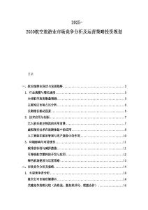 2025-2030航空旅游业市场竞争分析及运营策略投资规划