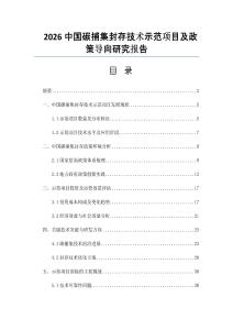 2026中国碳捕集封存技术示范项目及政策导向研究报告