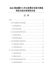 2026重金属行业市场供需报告投资降低特定规划分析研究报告