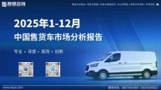 2025年1-12月中國售貨車市場分析報告