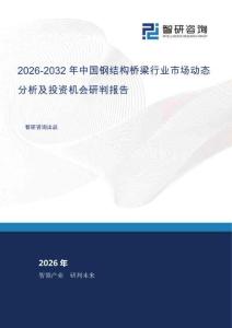 2026-2032年中國鋼結構橋梁行業市場動態分析及投資機會研判報告