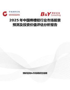 2025年中国榫槽钳行业市场前景预测及投资价值评估分析报告