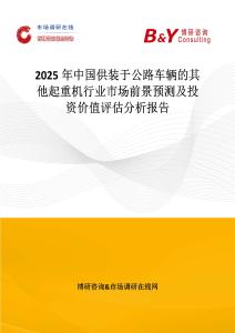 2025年中國供裝于公路車輛的其他起重機(jī)行業(yè)市場前景預(yù)測及投資價(jià)值評估分析報(bào)告