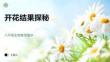 開花結果探秘