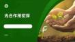 光合作用初探