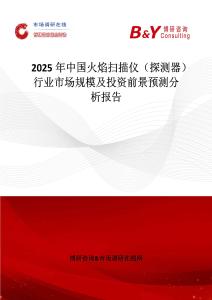 2025年中国火焰扫描仪（探测器）行业市场规模及投资前景预测分析报告