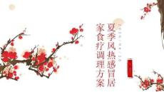 夏季风热感冒居家食疗调理方案