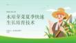 水培芽菜夏季快速生長培育技術(shù)