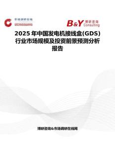 2025年中国发电机接线盒(GDS)行业市场规模及投资前景预测分析报告