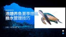 池塘养鱼夏季增氧换水管理技巧