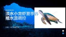 淡水小龙虾夏季养殖水温调控课