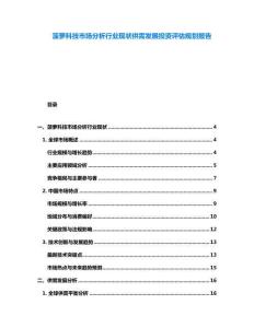 菠萝科技市场分析行业现状供需发展投资评估规划报告