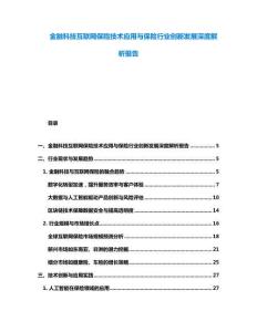 金融科技互聯(lián)網(wǎng)保險(xiǎn)技術(shù)應(yīng)用與保險(xiǎn)行業(yè)創(chuàng)新發(fā)展深度解析報(bào)告