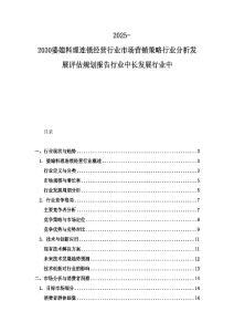 2025-2030婆媳料理連鎖經營行業市場營銷策略行業分析發展評估規劃報告行業中長發展行業中