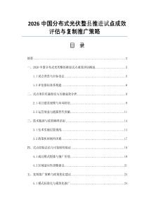 2026中国分布式光伏整县推进试点成效评估与复制推广策略