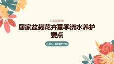 居家盆栽花卉夏季浇水养护要点