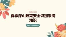 夏季深山野菜安全識別采摘知識