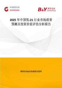 2025年中國氖-21行業市場前景預測及投資價值評估分析報告