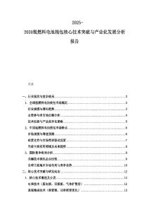 2025-2030氢燃料电池栈包核心技术突破与产业化发展分析报告
