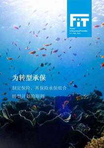 為轉型承保_制定保險、再保險承保組合轉型計劃的原則_中文摘要