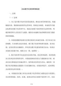 企业数字化转型管理制度