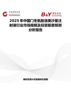 2025年中国门冬氨酸洛美沙星注射液行业市场规模及投资前景预测分析报告
