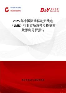 2025年中國陸地移動無線電（LMR）行業(yè)市場規(guī)模及投資前景預(yù)測分析報告