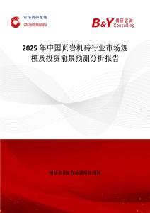 2025年中國頁巖機磚行業市場規模及投資前景預測分析報告