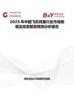 2025年中国飞机耳塞行业市场规模及投资前景预测分析报告