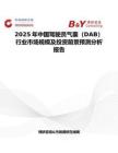 2025年中国驾驶员气囊（DAB）行业市场规模及投资前景预测分析报告