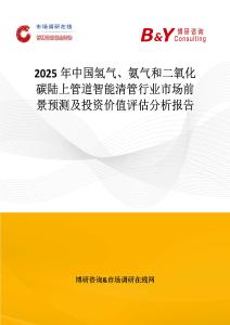 2025年中国氢气、氨气和二氧化碳陆上管道智能清管行业市场前景预测及投资价值评估分析报告