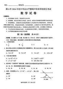 2026年眉山市中考数学试题（含答案）原卷