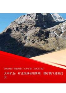 大中礦業(001203)礦業血脈長驅周期，鋰礦騰飛迎新紀元