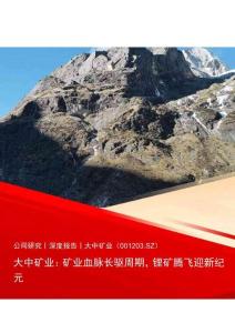 大中礦業(001203)礦業血脈長驅周期，鋰礦騰飛迎新紀元