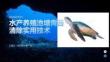 水产养殖池塘青苔清除实用技术