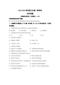 2026年重庆渝中区中考二模化学模拟试卷试题（含答案详解）
