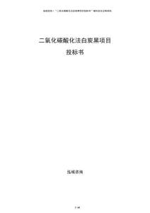 二氧化碳酸化法白炭黑项目投标书