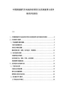 中国新能源汽车电池回收利用行业发展前景与竞争格局评估报告