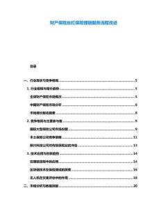 財產保險絲杠保險理賠服務流程改進